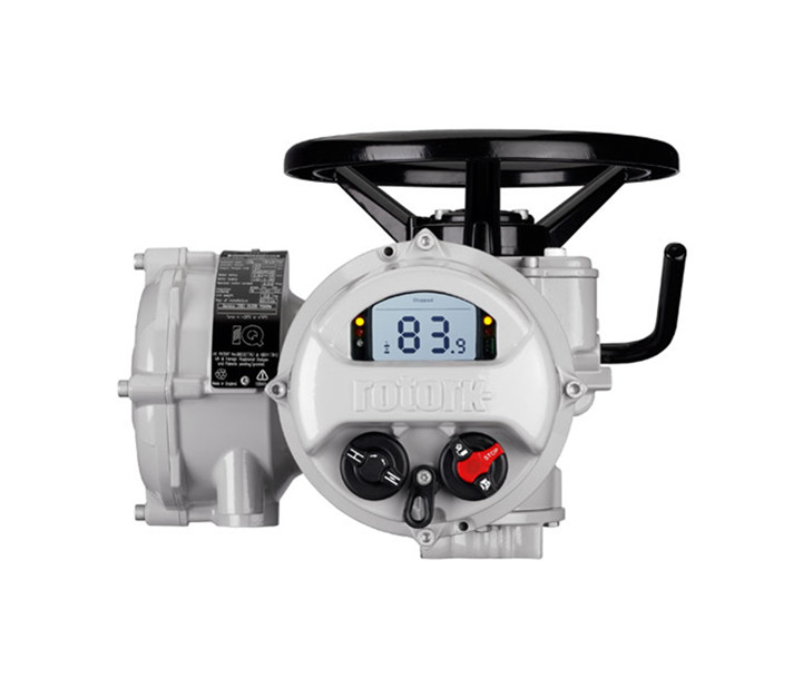 羅托克電動執(zhí)行器型號是否齊全？哪些廠家信得過？